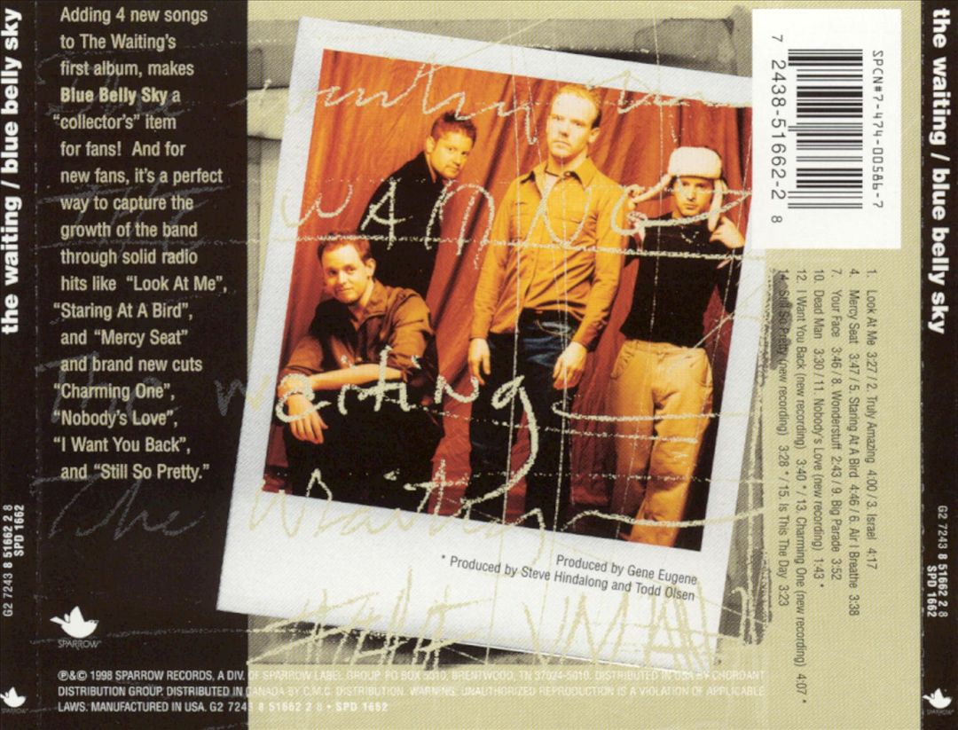Blue Belly Sky cover art