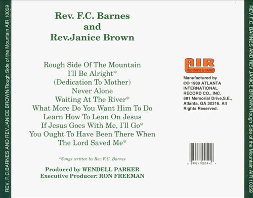 Rough Side of the Mountain cover art