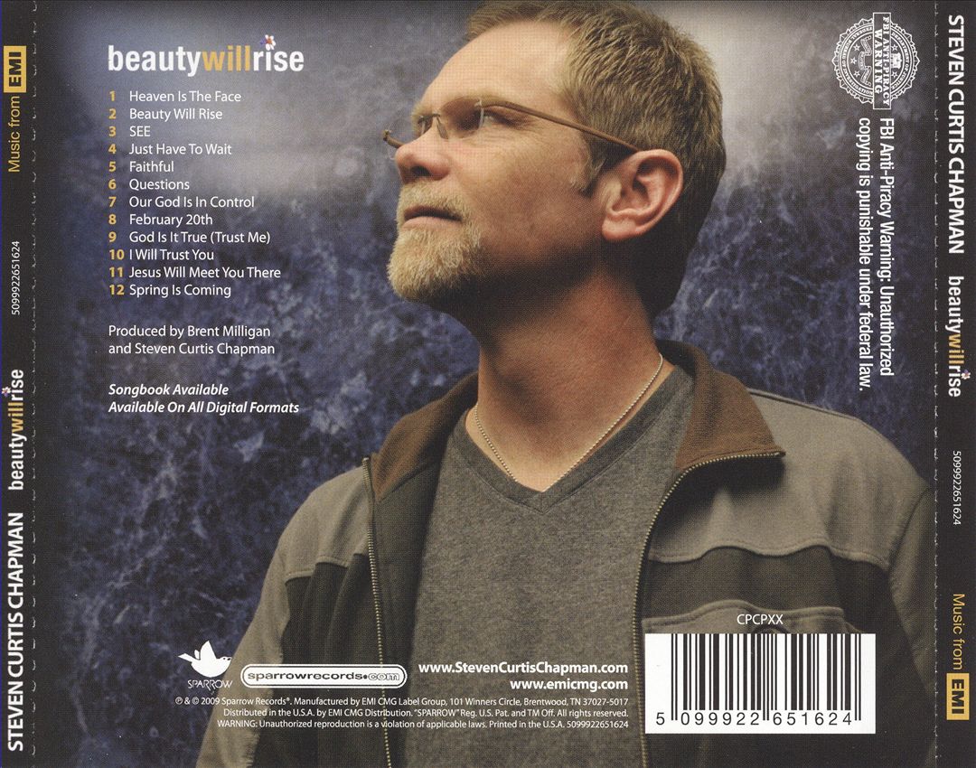 Beauty Will Rise cover art