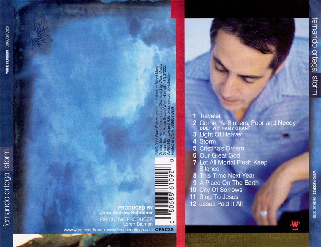Storm cover art