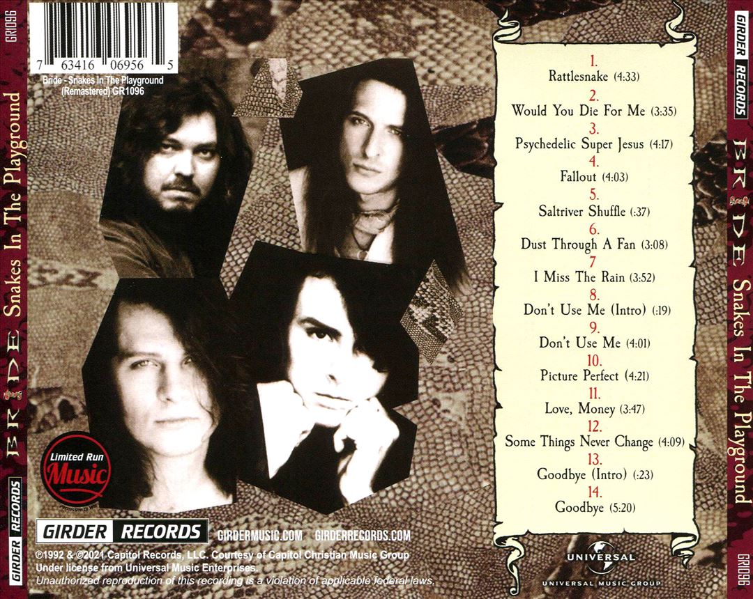 Snakes in the Playground cover art