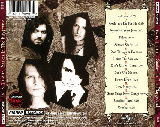 Snakes in the Playground cover art