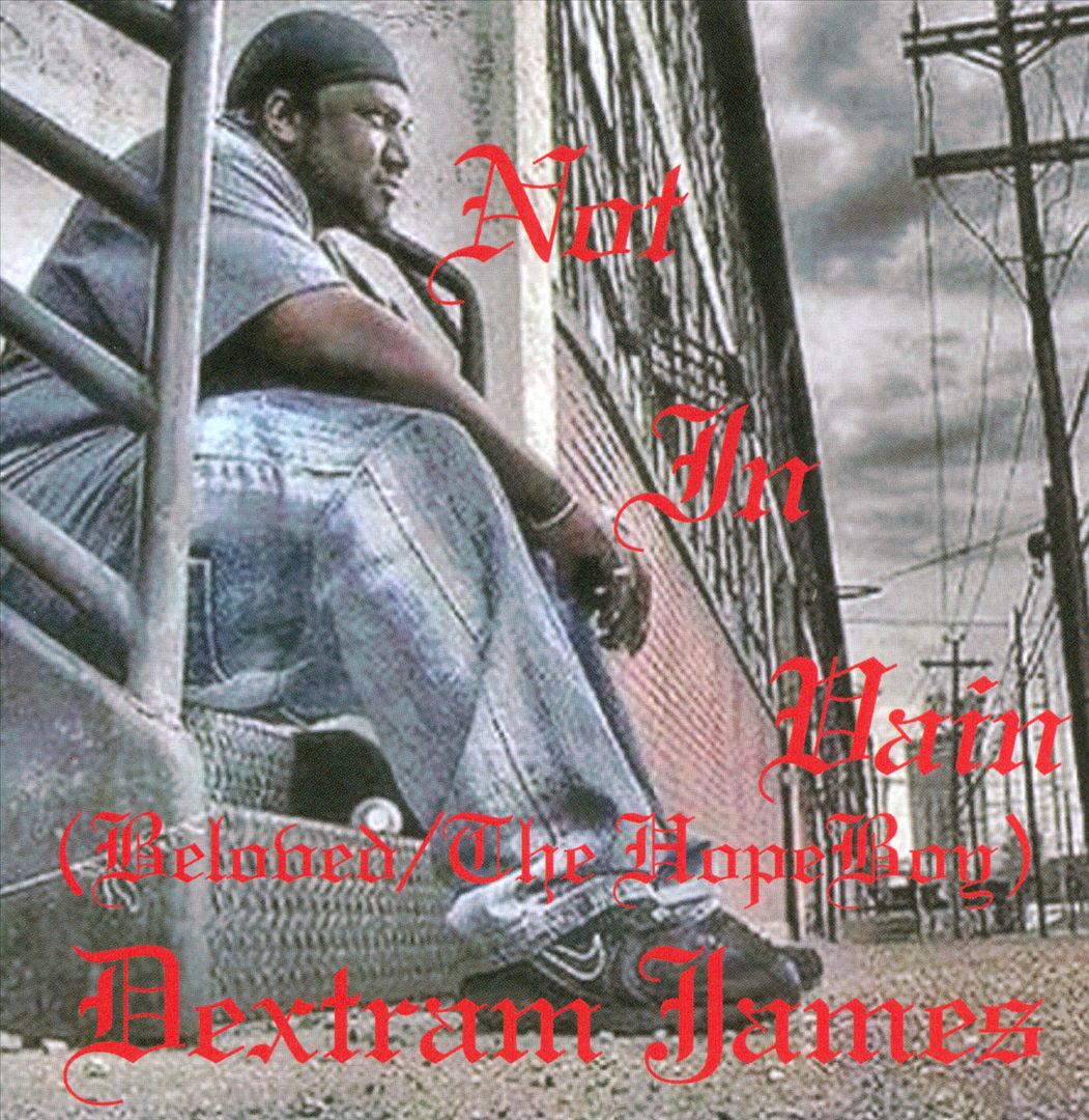 Not In Vain (Reloaded/The Hope Boy) cover art