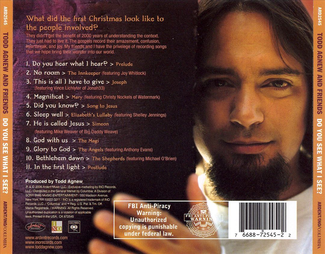 Do You See What I See? cover art