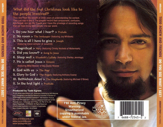 Do You See What I See? cover art