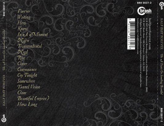 Take a Chance on Something Beautiful cover art