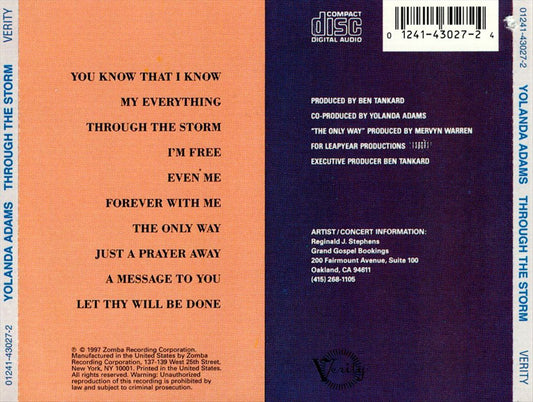 Through the Storm cover art