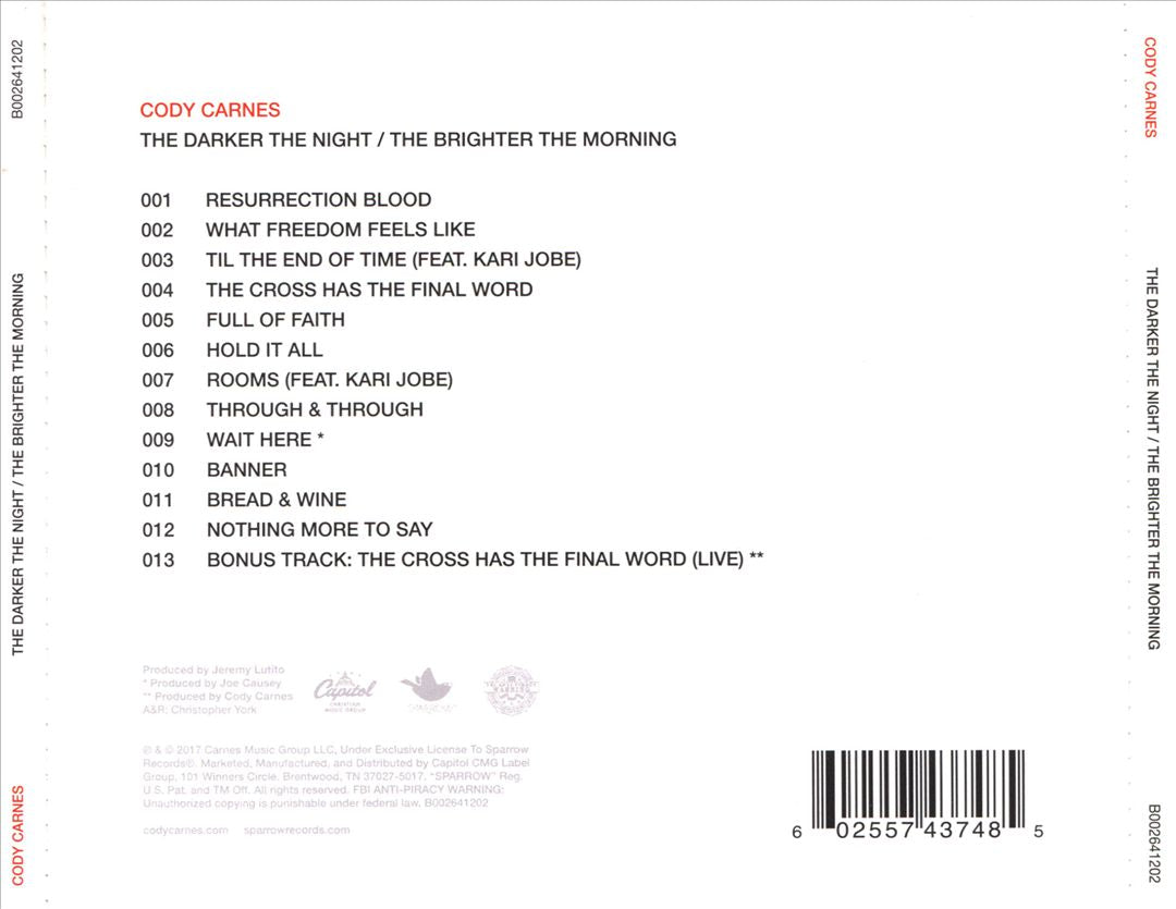 Darker the Night the Brighter the Morning cover art