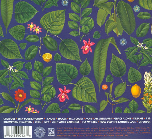 Becoming Who We Are cover art