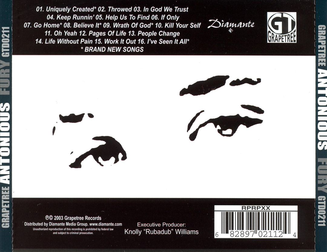 Fury cover art