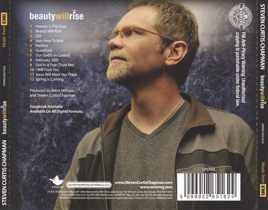 Beauty Will Rise cover art